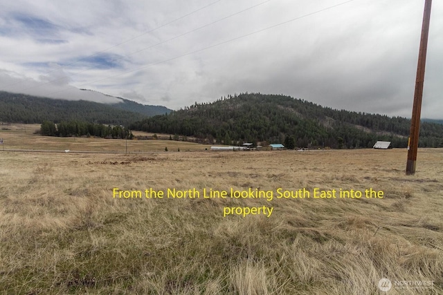 3XX Addy Gifford Rd, Gifford, WA 99131 - photo 6