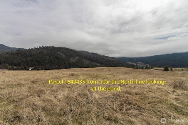3XX Addy Gifford Rd, Gifford, WA 99131 - photo 13