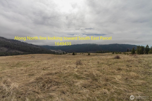 3XX Addy Gifford Rd, Gifford, WA 99131 - photo 14