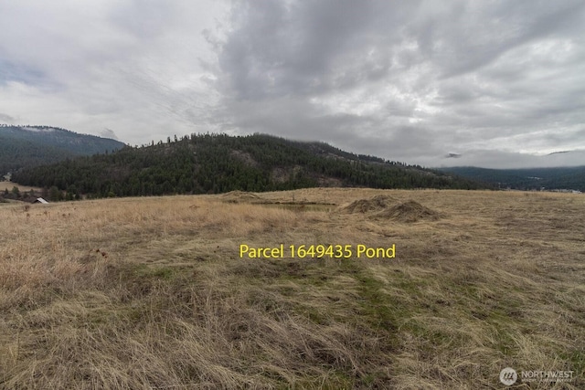 3XX Addy Gifford Rd, Gifford, WA 99131 - photo 20