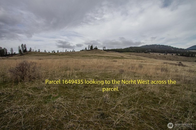 3XX Addy Gifford Rd, Gifford, WA 99131 - photo 22