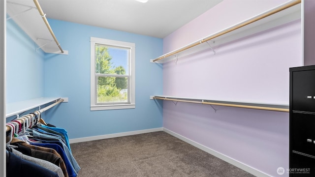 405 Diamond Gate Rd, Walla Walla, WA 99362 - photo 24