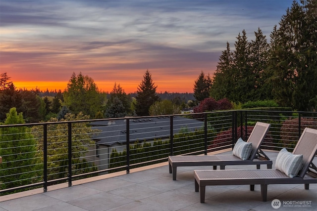 1032 89th Ave NE, Bellevue, WA 98004 - patio terrace at dusk with a balcony
