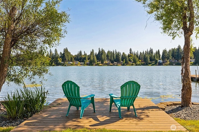 7519 Atchinson Dr SE, Olympia, WA 98513 - dock area with a water view