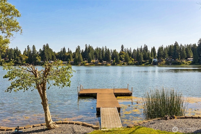 7519 Atchinson Dr SE, Olympia, WA 98513 - dock featuring a water view