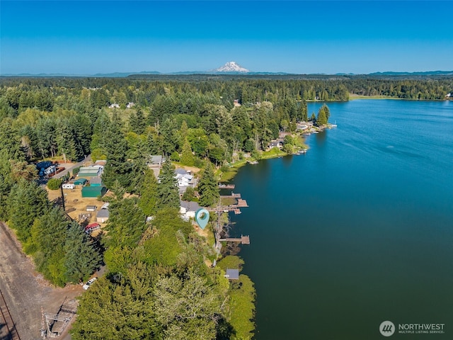7519 Atchinson Dr SE, Olympia, WA 98513 - bird's eye view of a heavily wooded area and a nearby body of water