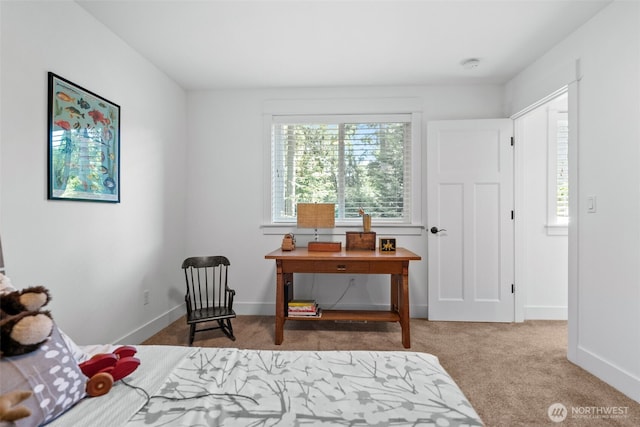 915 7th Ct, Fox Island, WA 98333 - photo 28