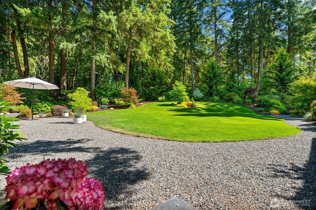 915 7th Ct, Fox Island, WA 98333 - photo 33
