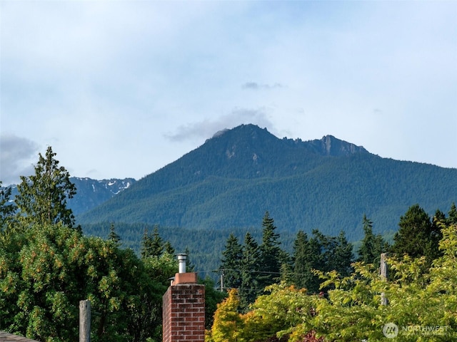 101 E Whidby Ave, Port Angeles, WA 98362 - mountain view with a heavily wooded area