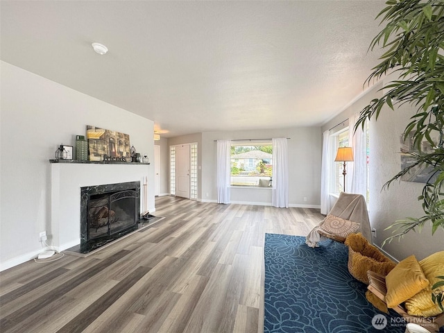 101 E Whidby Ave, Port Angeles, WA 98362 - living area featuring light wood-style flooring and a fireplace