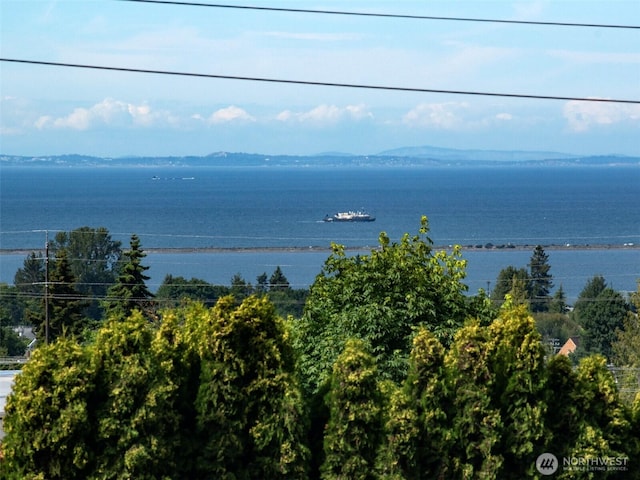 101 E Whidby Ave, Port Angeles, WA 98362 - water view