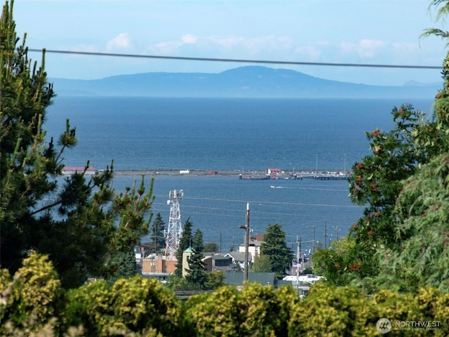 101 E Whidby Ave, Port Angeles, WA 98362 - water view featuring a mountain backdrop