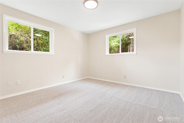 17611 118th Ave SE, Renton, WA 98058 - photo 21
