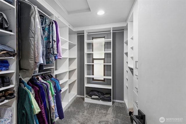 190 Bluffs Dr Unit 1, Port Townsend, WA 98368 - spacious closet with carpet flooring