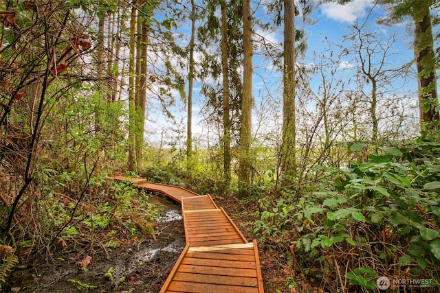 190 Bluffs Dr Unit 1, Port Townsend, WA 98368 - view of community