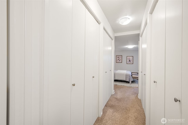 1800 Taylor Ave N Unit 3, Seattle, WA 98109 - photo 12