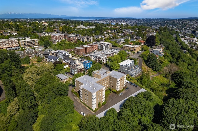 1800 Taylor Ave N Unit 3, Seattle, WA 98109 - photo 17