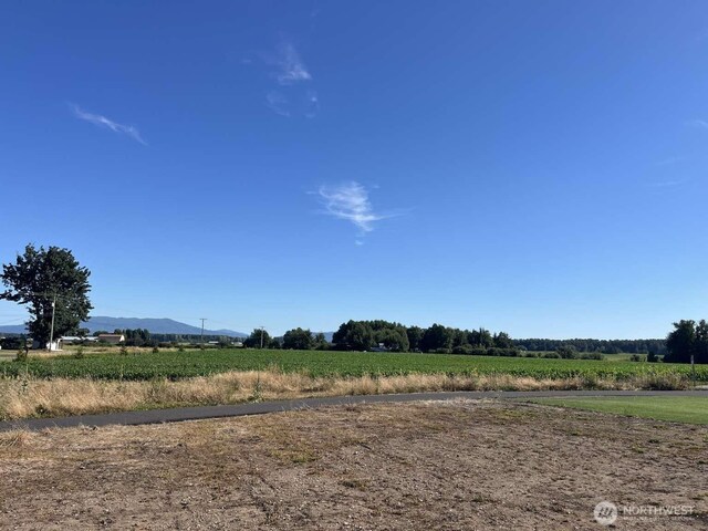 2080 Bowfin Way, Lynden, WA 98264 - view of yard with a view of rural / pastoral area and a mountain view