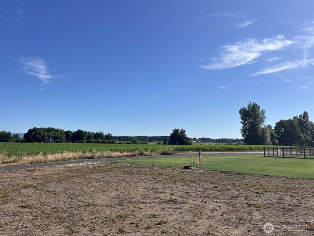 2080 Bowfin Way, Lynden, WA 98264 - view of yard featuring a view of rural / pastoral area