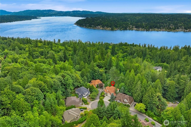 4123 198th Ct NE, Sammamish, WA 98074 - photo 26