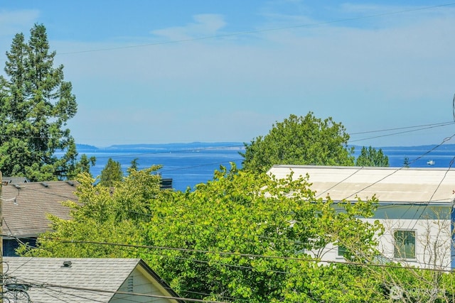 2613 NW 86th St, Seattle, WA 98117 - photo 20