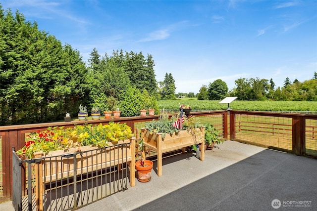 8984 Delta Line Rd, Custer, WA 98240 - view of patio