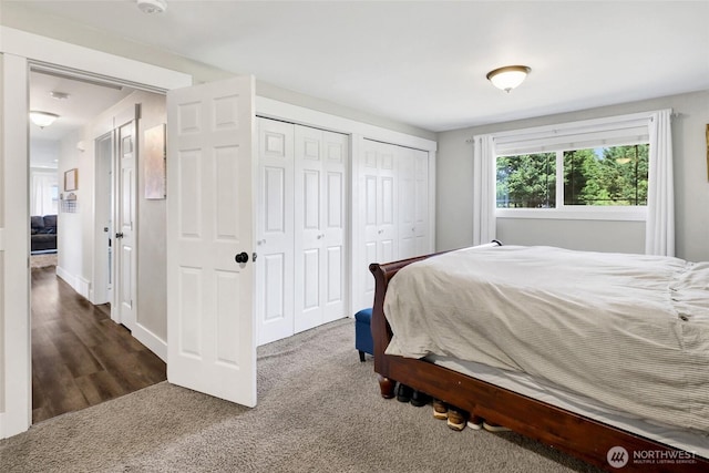 8984 Delta Line Rd, Custer, WA 98240 - bedroom with multiple closets and carpet