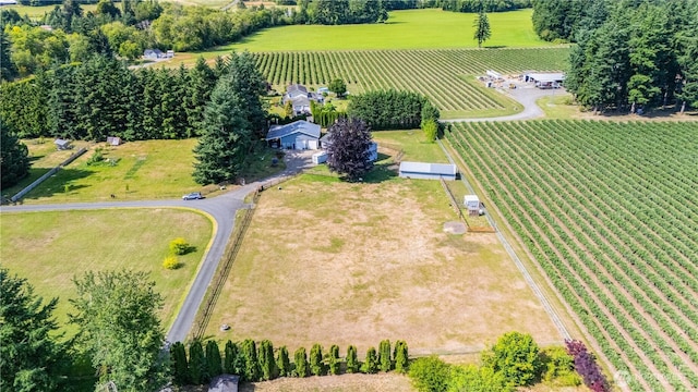 8984 Delta Line Rd, Custer, WA 98240 - aerial view of sparsely populated area with rows of crops