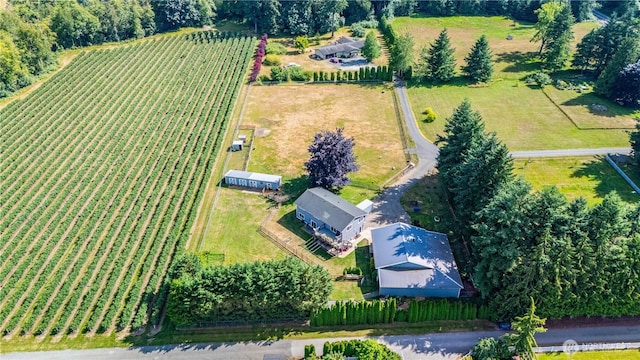 8984 Delta Line Rd, Custer, WA 98240 - view of rural area with rows of crops