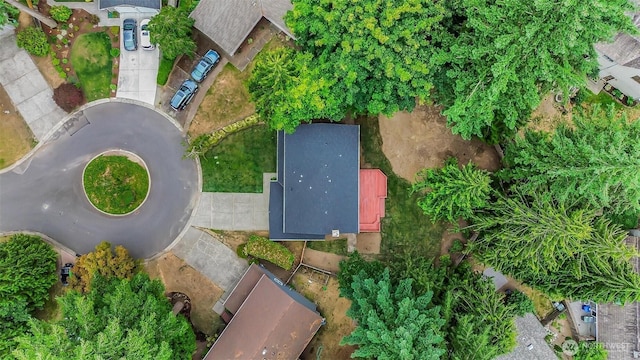 20702 NE 42nd Pl, Sammamish, WA 98074 - photo 16