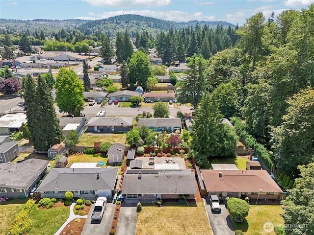 1106 SE 26th St, Auburn, WA 98002 - aerial perspective of suburban area with mountains