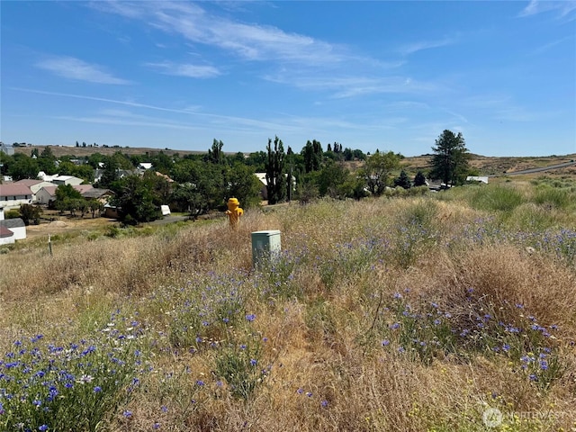 0 6th St, Odessa, WA 99159 - photo 5