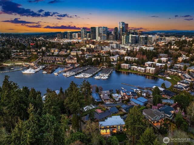 9630 SE 5th St, Bellevue, WA 98004 - aerial view of property and surrounding area featuring a nearby body of water and a marina
