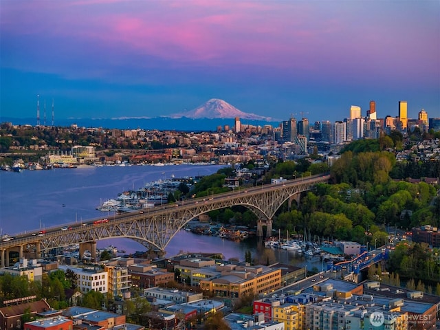 3608 Francis Ave N, Seattle, WA 98103 - view of urban area with a notable bridge and a water and mountain view
