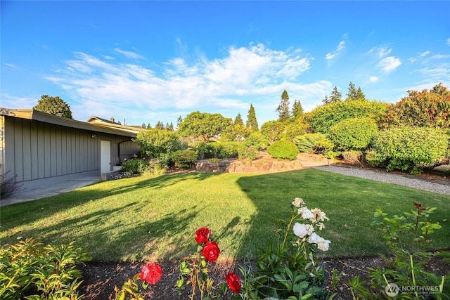 18354 Ridgefield Rd NW, Shoreline, WA 98177 - view of grassy yard