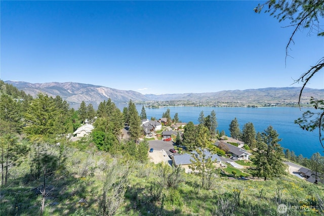 4340 Sunnybank Dr, Chelan, WA 98816 - photo 5