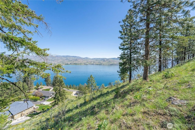 4340 Sunnybank Dr, Chelan, WA 98816 - photo 6