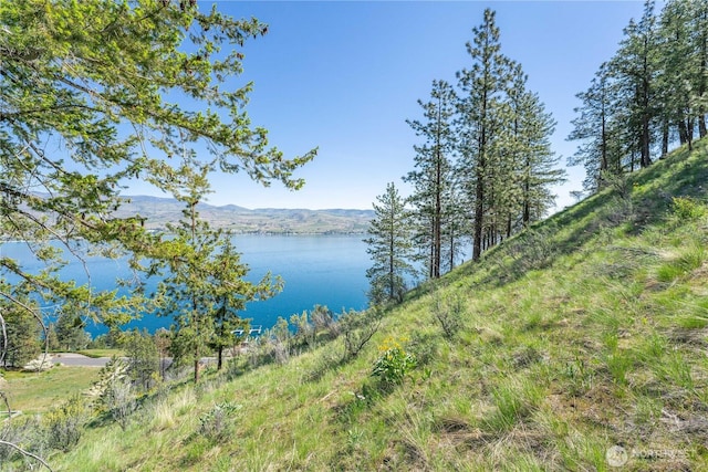 4340 Sunnybank Dr, Chelan, WA 98816 - photo 7