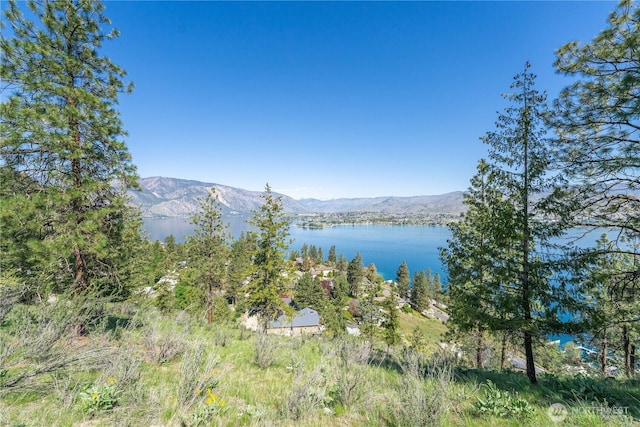 4340 Sunnybank Dr, Chelan, WA 98816 - photo 8