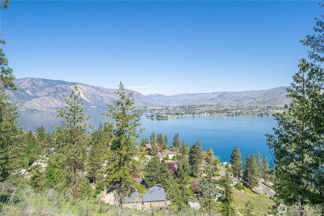 4340 Sunnybank Dr, Chelan, WA 98816 - photo 9