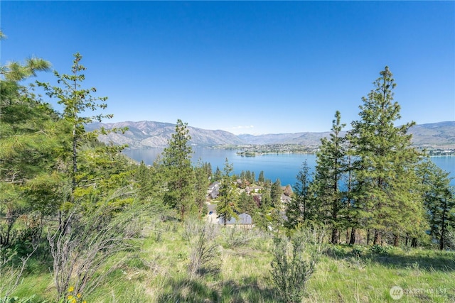 4340 Sunnybank Dr, Chelan, WA 98816 - photo 10