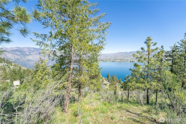4340 Sunnybank Dr, Chelan, WA 98816 - photo 11