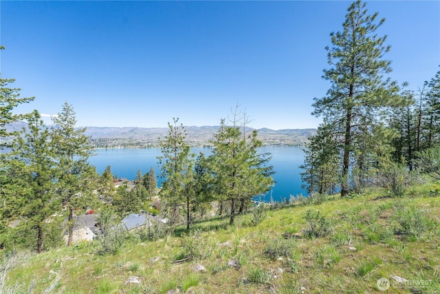 4340 Sunnybank Dr, Chelan, WA 98816 - photo 13