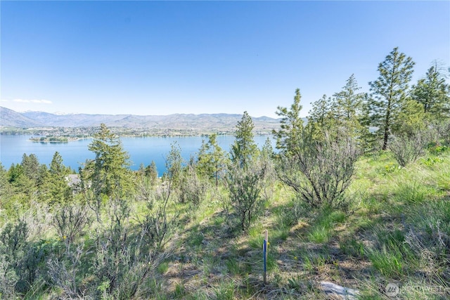 4340 Sunnybank Dr, Chelan, WA 98816 - photo 14