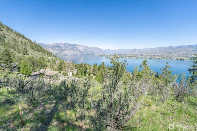 4340 Sunnybank Dr, Chelan, WA 98816 - photo 15