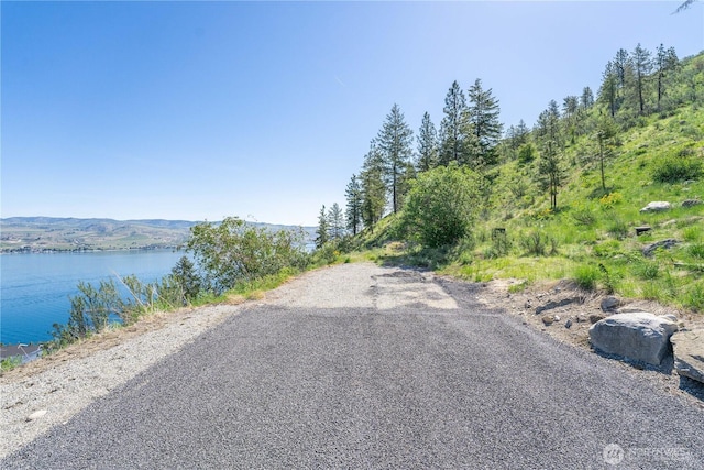 4340 Sunnybank Dr, Chelan, WA 98816 - photo 16