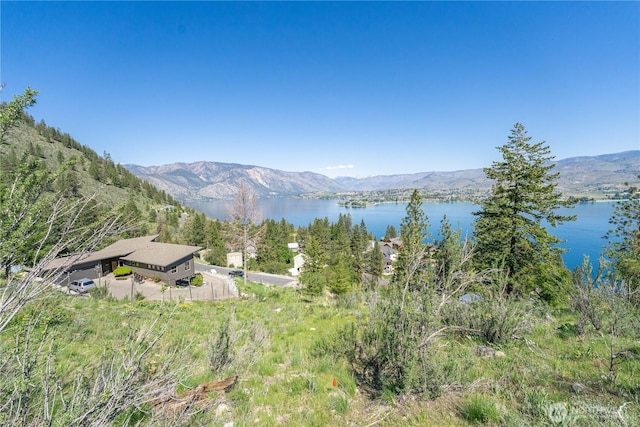4340 Sunnybank Dr, Chelan, WA 98816 - photo 18