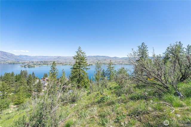 4340 Sunnybank Dr, Chelan, WA 98816 - photo 19