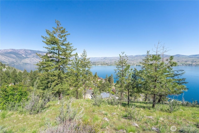 4340 Sunnybank Dr, Chelan, WA 98816 - photo 20