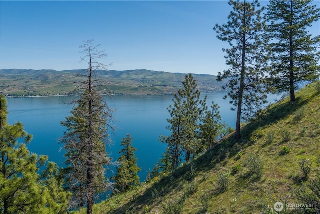 4340 Sunnybank Dr, Chelan, WA 98816 - photo 21